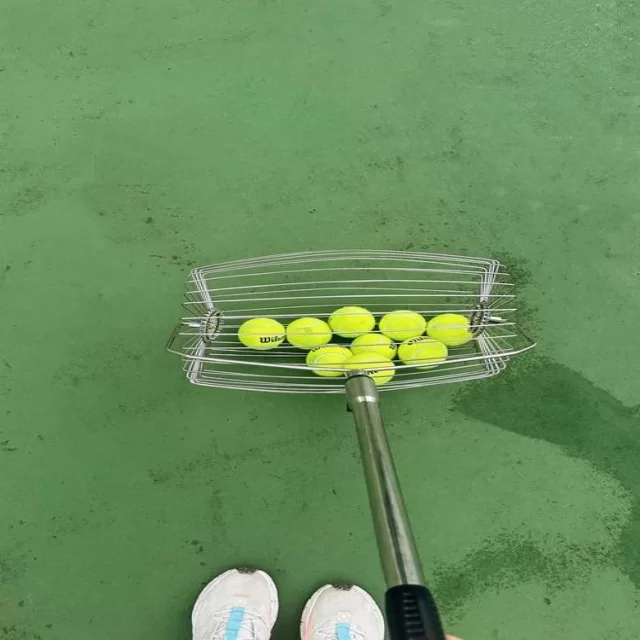 转会市场趋势观察：第415组数据深度解析